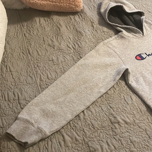 Gray Champion Hoodie - Picture 2 of 8